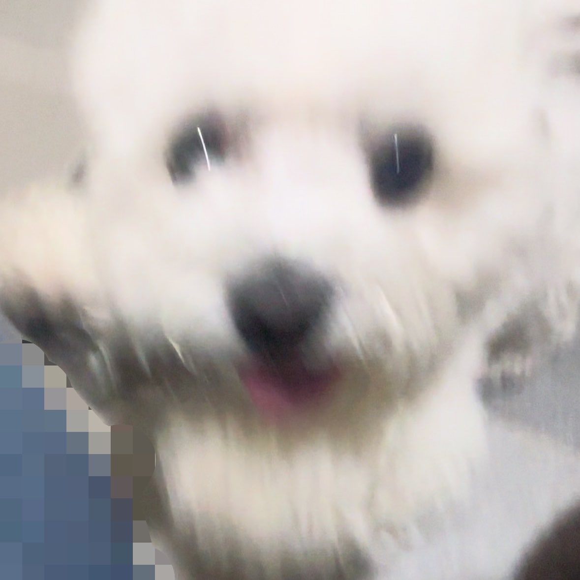 다다 tweet media