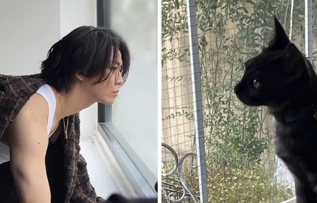 hiroto_223's tweet photo. 🐢と🐈‍⬛を溺愛するアカウント😂 https://t.co/kcJErQLlXB
