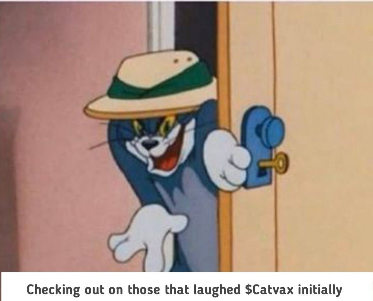 raidx1996's tweet photo. @bloodweb3 $Catvax https://t.co/LJiLh9mLs1