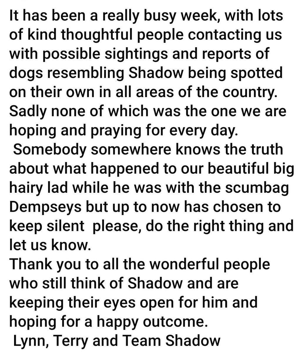 MissingPetsGB's tweet photo. We will never forget Shadow &amp; will always wonder what the Dempseys did to Shadow &amp; where/*if* he even is now

It's not too late to come forward confidentially/anonymously if anyone knows anything🙏 #stolendoghour

Supposedly "lost" by dogsitters in 2024 in Aintree #Liverpool https://t.co/Bf5zl47ZP1