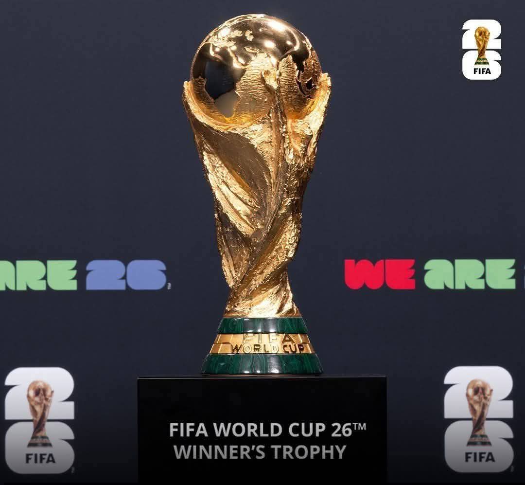 Egwu003's tweet photo. FIFA World Cup is the world's biggest international football tournament. It is organized by the FIFA and features national teams from countries around the world competing to become World Champions. https://t.co/tjzwiy3KOC