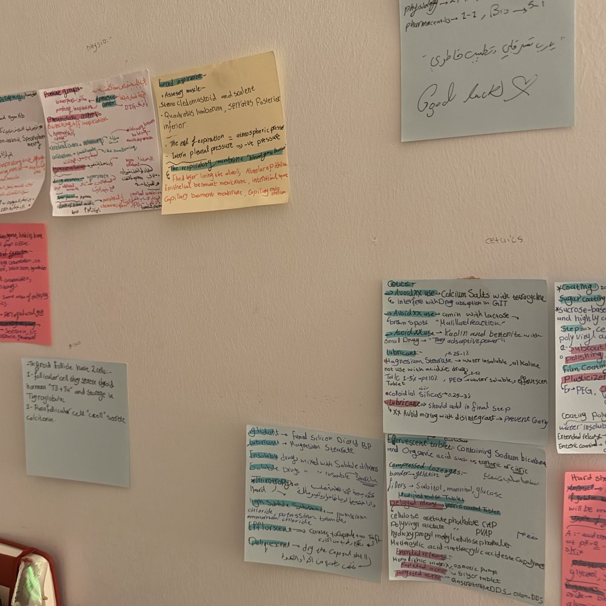 rooh2005_128's tweet photo. Second year doneeee🫯🫯🫯
اللهم لك الحمد حمدًا كثيرًا…
كانت سنه ثقيلة على القلب بس عشت فيها أشياء حلوه تعرفت فيها على احلى ناس💘
سنه كانت مليانه سعي و محاولات  مذاكرة لساعات بس I made it 💫
فخوره بنفسي و بكل فارما 25 💊🩹 https://t.co/On8F0OuAkP