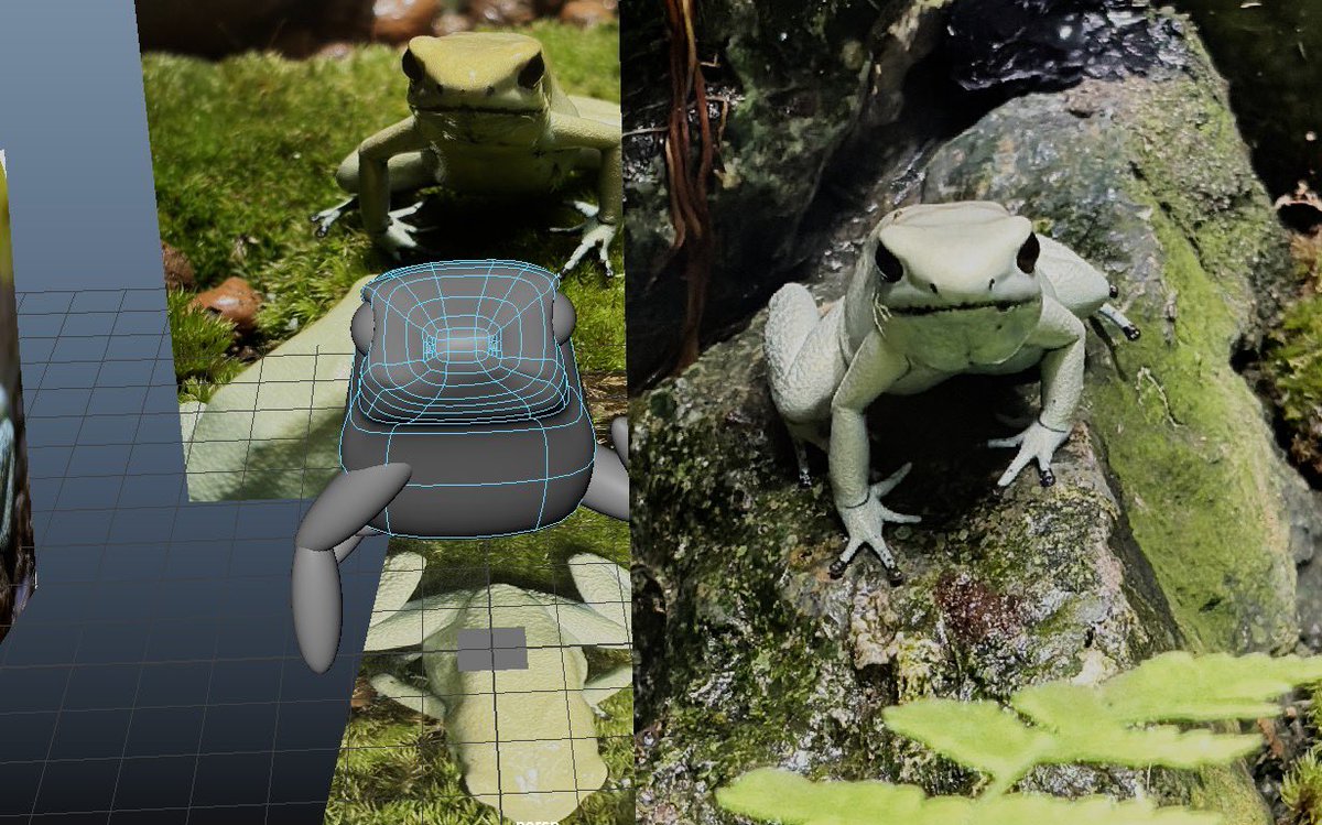 nutsummer00's tweet photo. 制作途中のモウドクフキヤガエル
 #Maya  #Blender  #3dcg https://t.co/78Aw4lLSGF