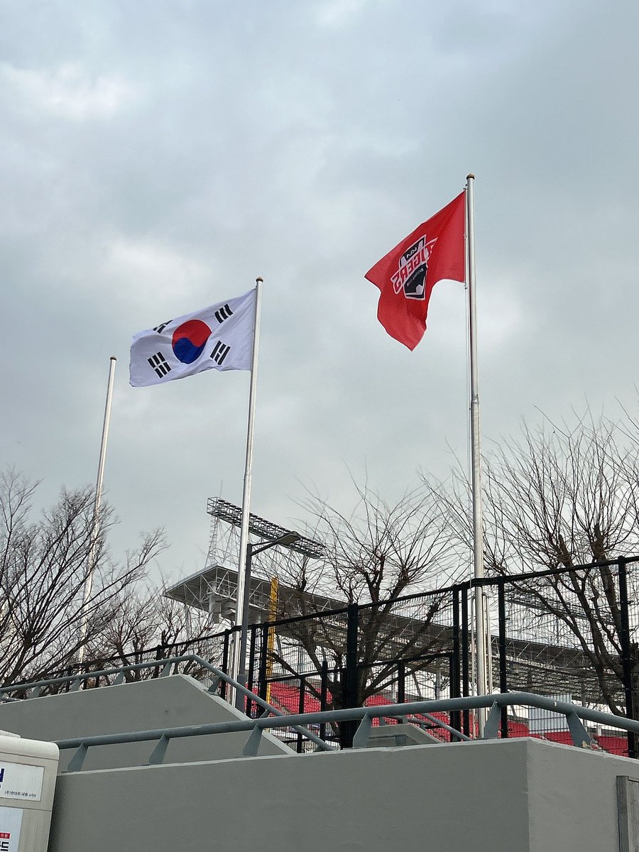 댕채 tweet media