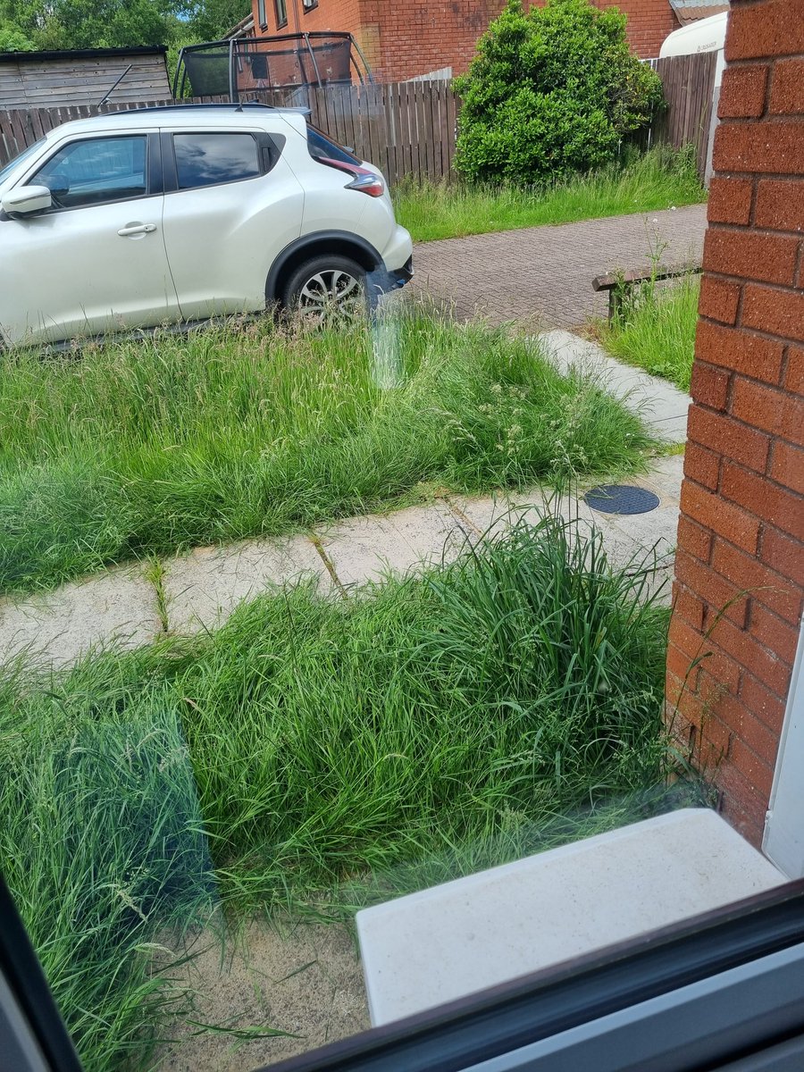 Deb73jones's tweet photo. @wearecodigroup we pay on out rent extra charges for grass cutting no option to opt out yet grass not been cut for 2 months or more ? Any idea when its being cut next caerodyn blaina https://t.co/29H4b4OREm