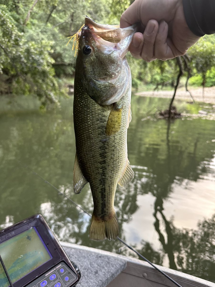 a_tnhs's tweet photo. 前日の雨で増水&amp;濁り🎣

魚の活性は低かったけど、サイコロラバーに助けられました🐟 https://t.co/D5u1vD4f4t