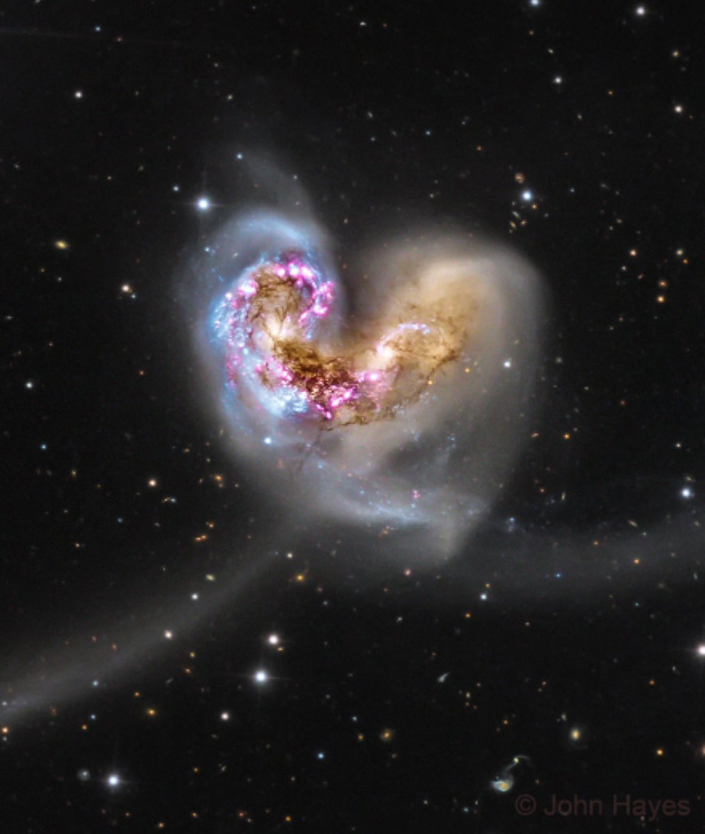 astropics's tweet photo. Interacting galaxies NGC 4038 and NGC 4039 in the Corvus constellation. https://t.co/cIY926DjmF