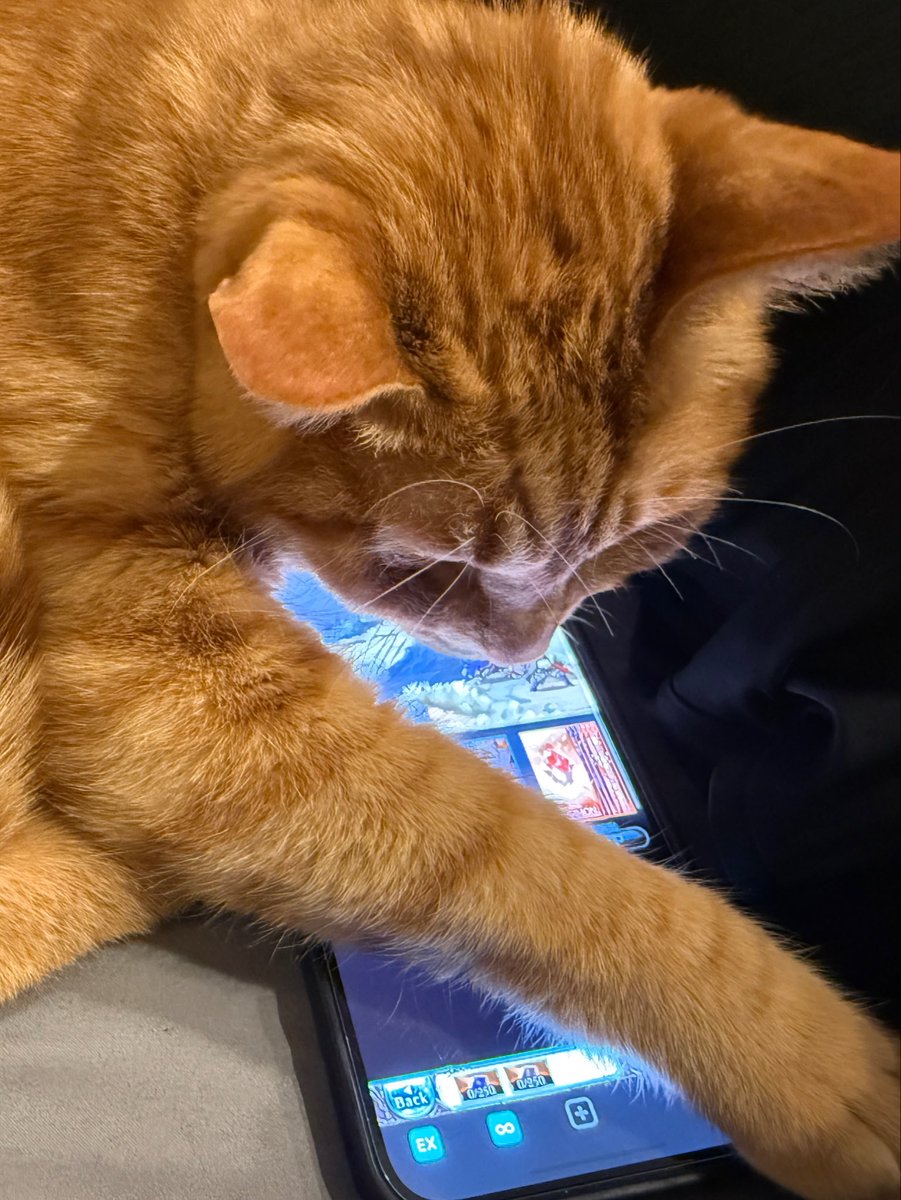 yua1925's tweet photo. そして、これである。
寝ろって事ね。 https://t.co/3MxV8xvnkK
