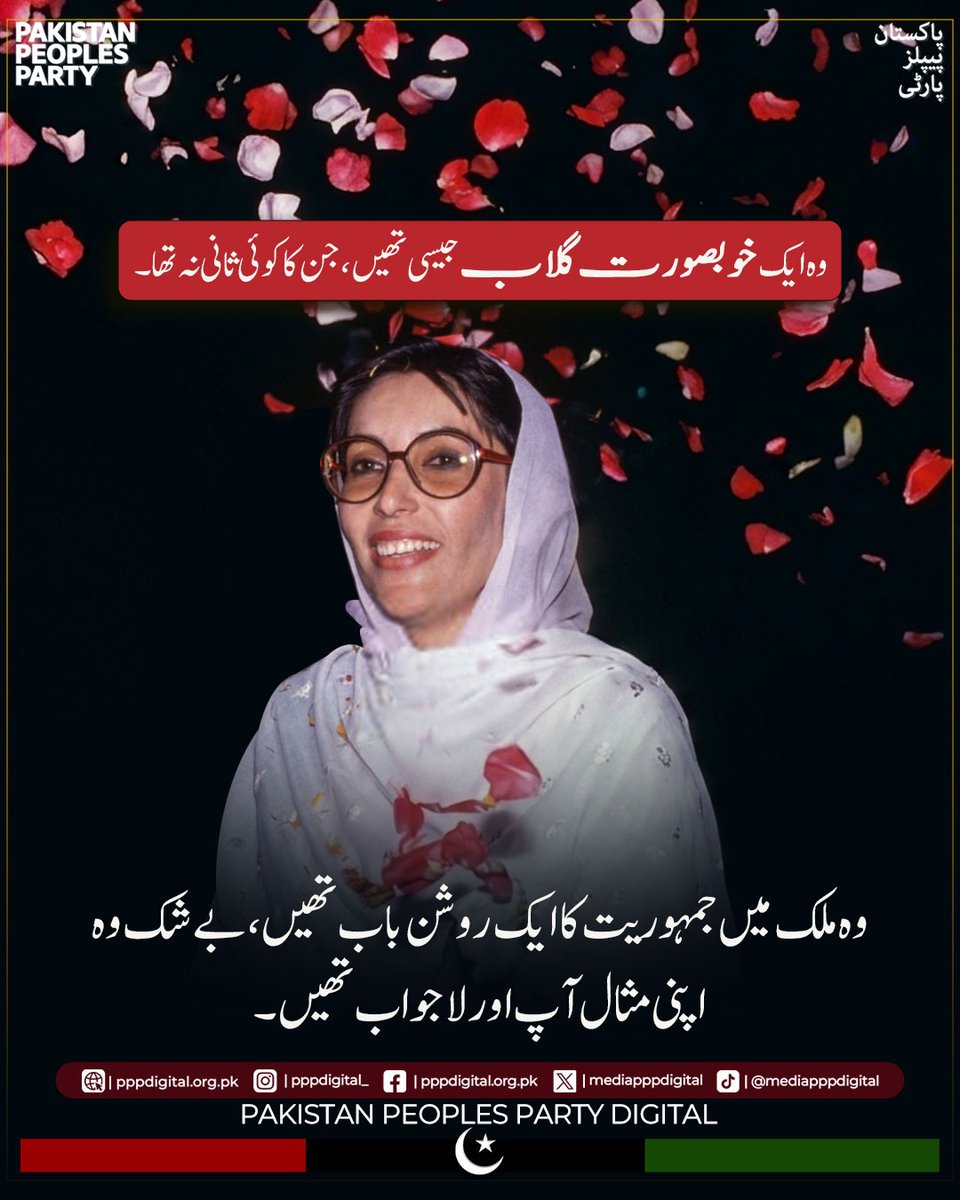Abdul Baseer Shaikh |PPP CW Dist: Hyderabad tweet media