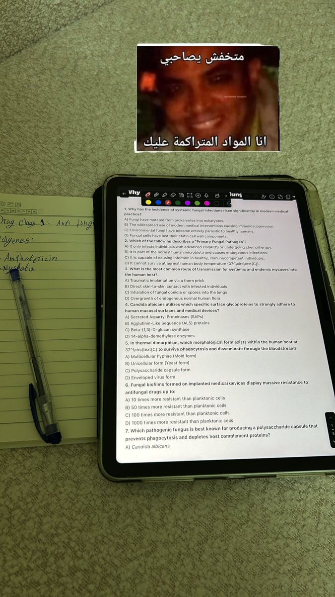 xilxt3's tweet photo. هانت بقي اختبارين وتعدي على خير https://t.co/b17Ook4g3E
