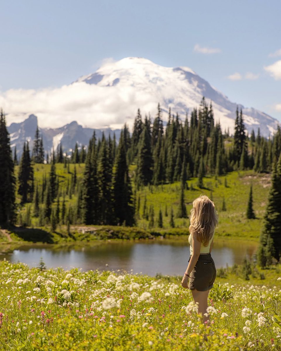 hikingwithmar's tweet photo. Summers spent by the lake and in the wildflower meadows https://t.co/V5WnYYMFH6