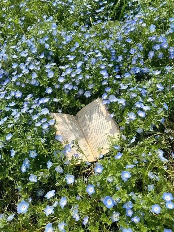 artindetails's tweet photo. forget me not. https://t.co/oSaaM9lc8o