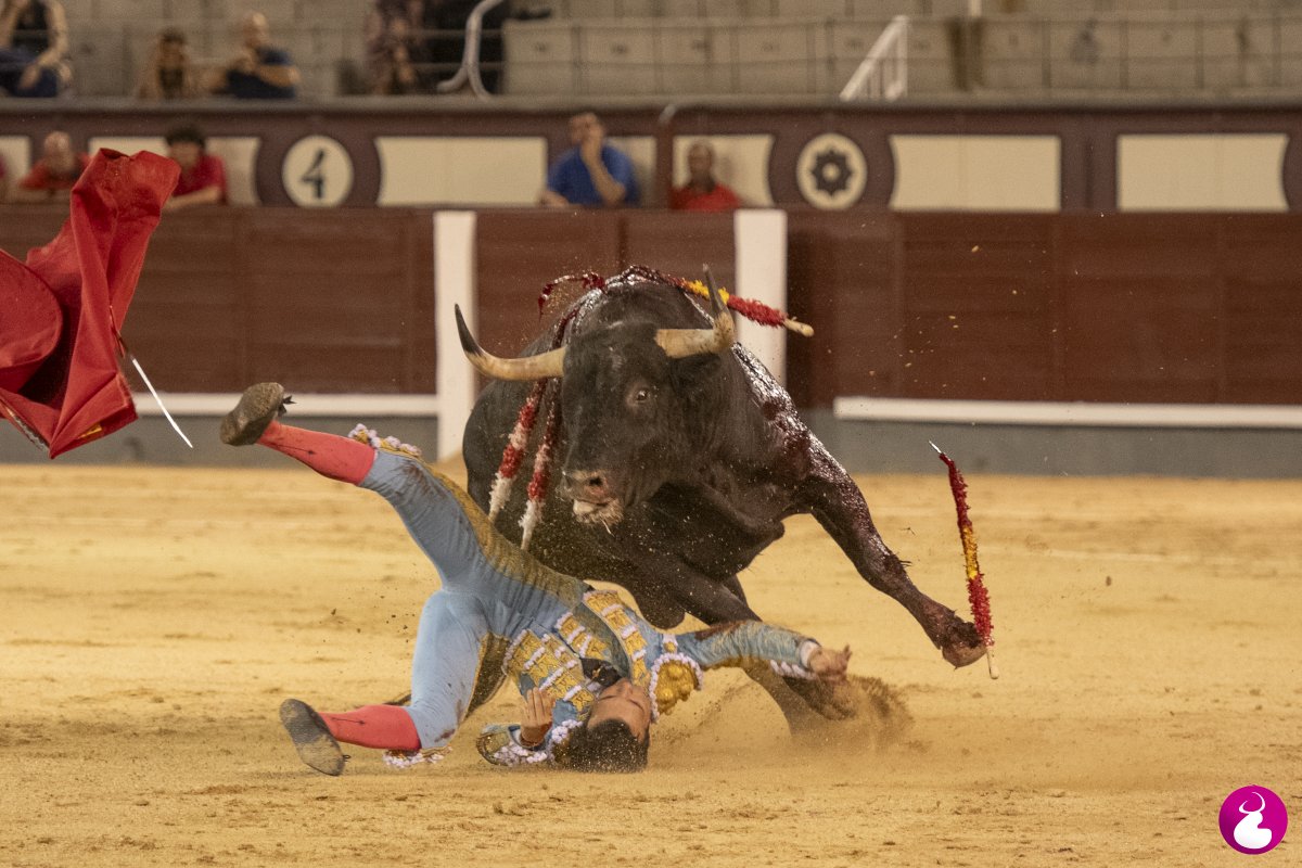 LSOlmedo's tweet photo. LAS VENTAS | 20/06/2026

'Madrid: Cristian Pérez, @cristianpl49, entre la gloria y el hule'

La tarde según Carlos Palacio en @cultorocom 

✍️https://t.co/XwNFblsHZZ

📷@LSOlmedo. Fotogalería completa:

https://t.co/YbXVPEYLpN https://t.co/6lQ58aSVZU