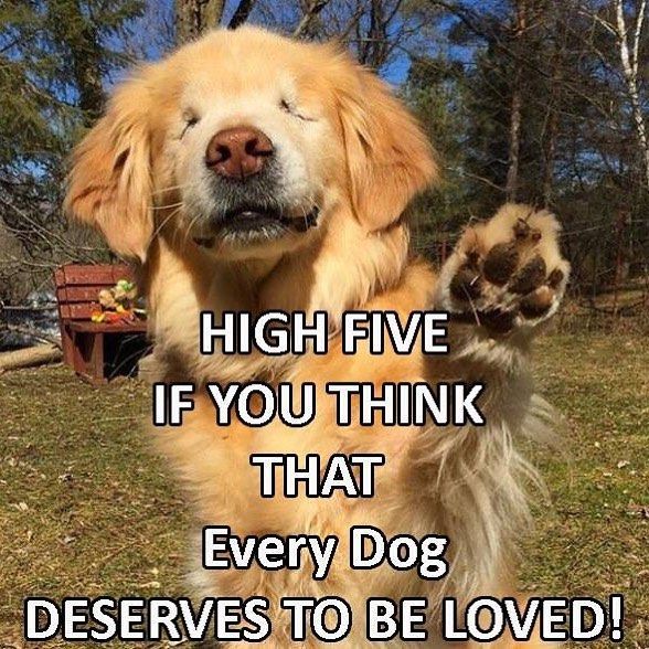 DogLovers03's tweet photo. https://t.co/6SQv5UAIwj