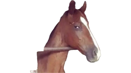 zlimou95's tweet photo. @traoresiaka1013 Les ivoiriens font tellement semblant de pas être affecté 😂😂😂😂 https://t.co/OocQrRDt2W