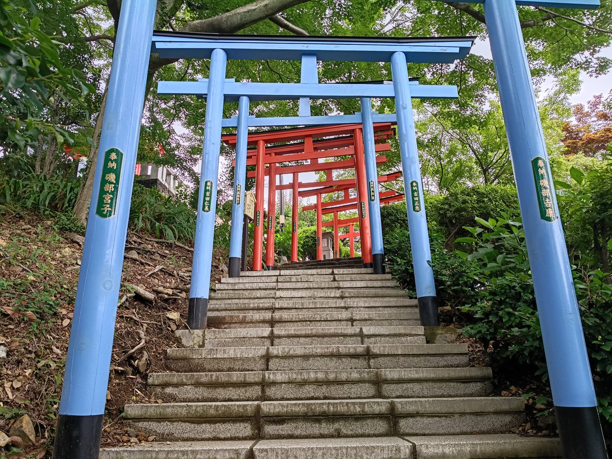 255storm's tweet photo. 足利織姫神社 七色の鳥居 （縁結び坂）栃木県足利市西宮町。足利織姫神社 一の鳥居 (本坂)、織姫神社 七色鳥居 https://t.co/ZPLbLMZwvx