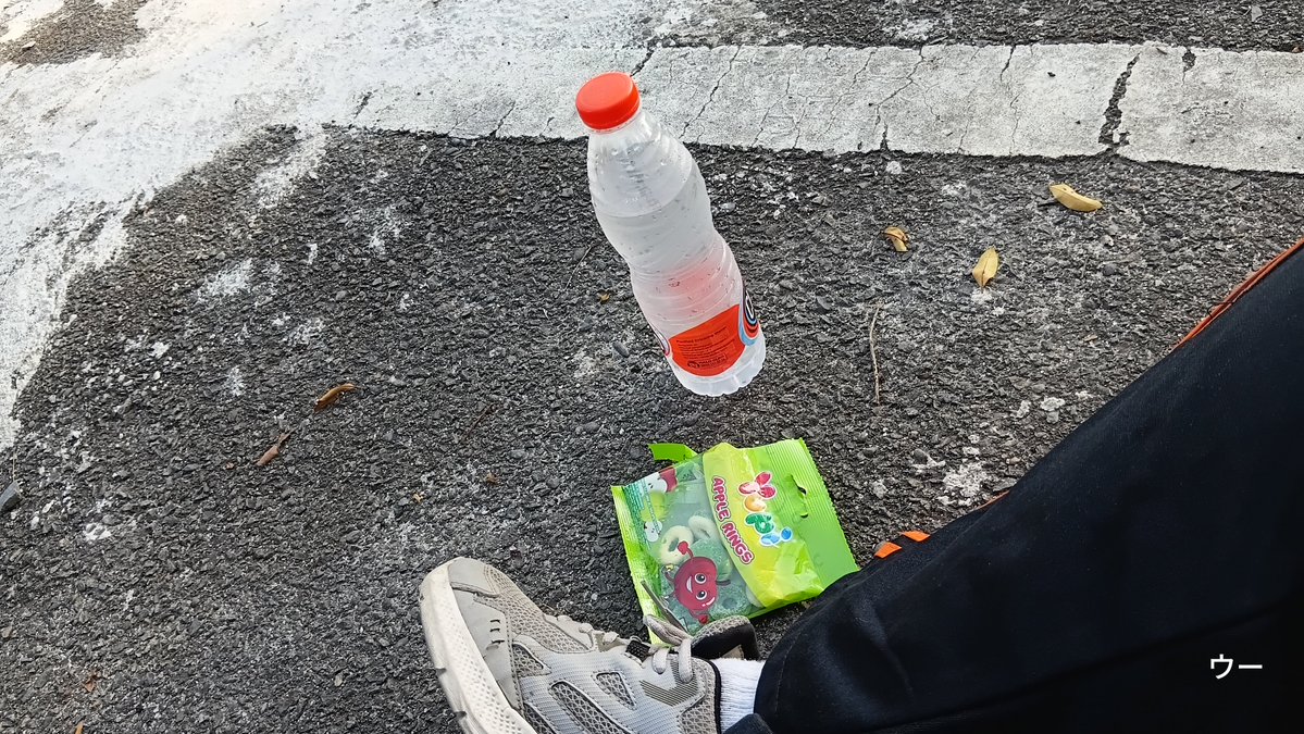 hm_achn's tweet photo. Sembari diriku yg dewasa mengasuh diriku yg kecil, aku bertanya2, "jika nanti di masa depan aku masih bisa membersamai, karya apalagi ya yg bakalan dia buat? Atau kebisaan apalagi ya yg bakal dia tunjuki?"

Langitnya bagus, cerah tp ga terik 😊 https://t.co/q5tMPqyNOB