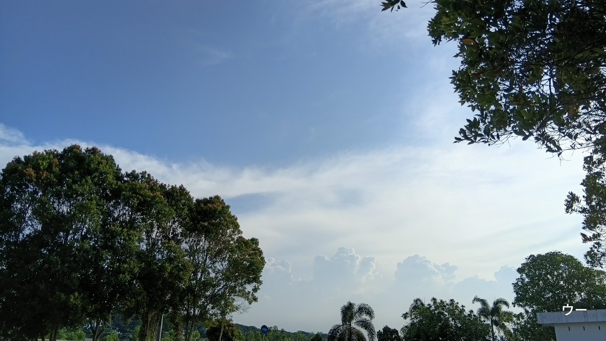 hm_achn's tweet photo. Sembari diriku yg dewasa mengasuh diriku yg kecil, aku bertanya2, "jika nanti di masa depan aku masih bisa membersamai, karya apalagi ya yg bakalan dia buat? Atau kebisaan apalagi ya yg bakal dia tunjuki?"

Langitnya bagus, cerah tp ga terik 😊 https://t.co/q5tMPqyNOB
