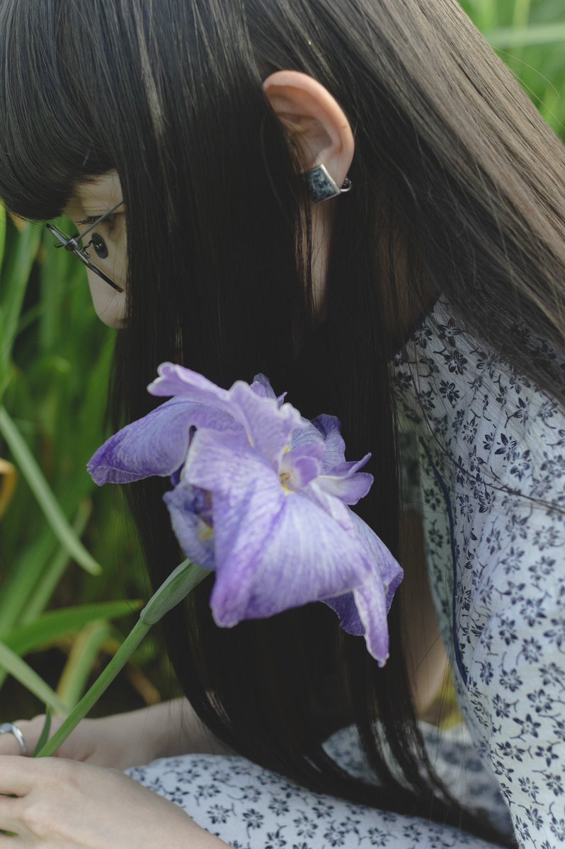 soonononono's tweet photo. 嫁入り舟を見送って、流れぬ者を
宥める花は菖蒲だけで十分なのだと https://t.co/oqX2TgNwO2