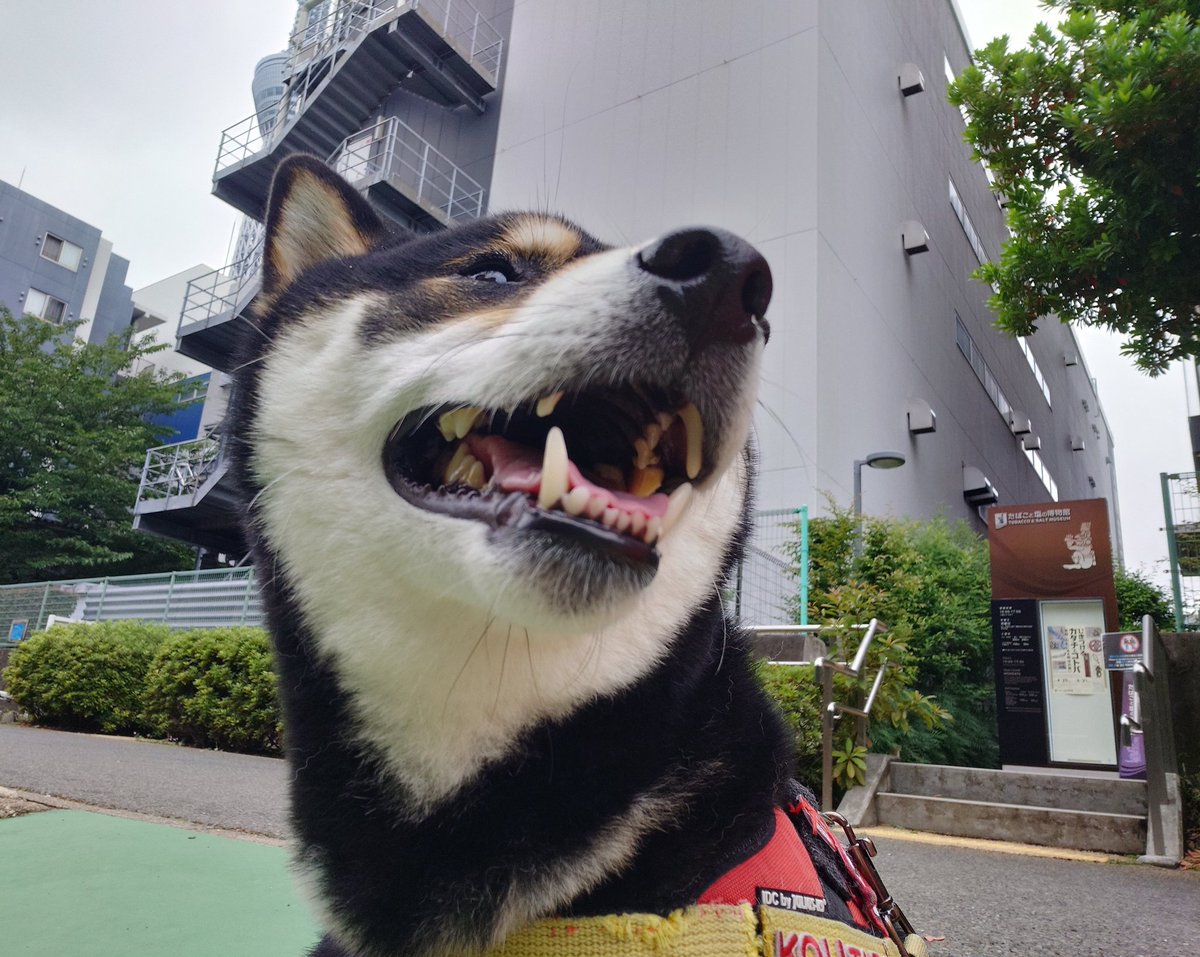 ktr0723's tweet photo. https://t.co/DdgMXSYI35