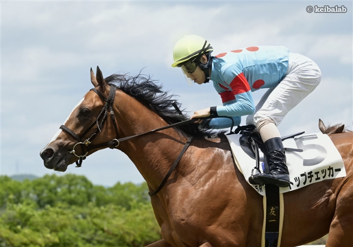GET THE WORLD】 26年6月21日阪神5R・2歳新馬1着 トップチェッカー Top