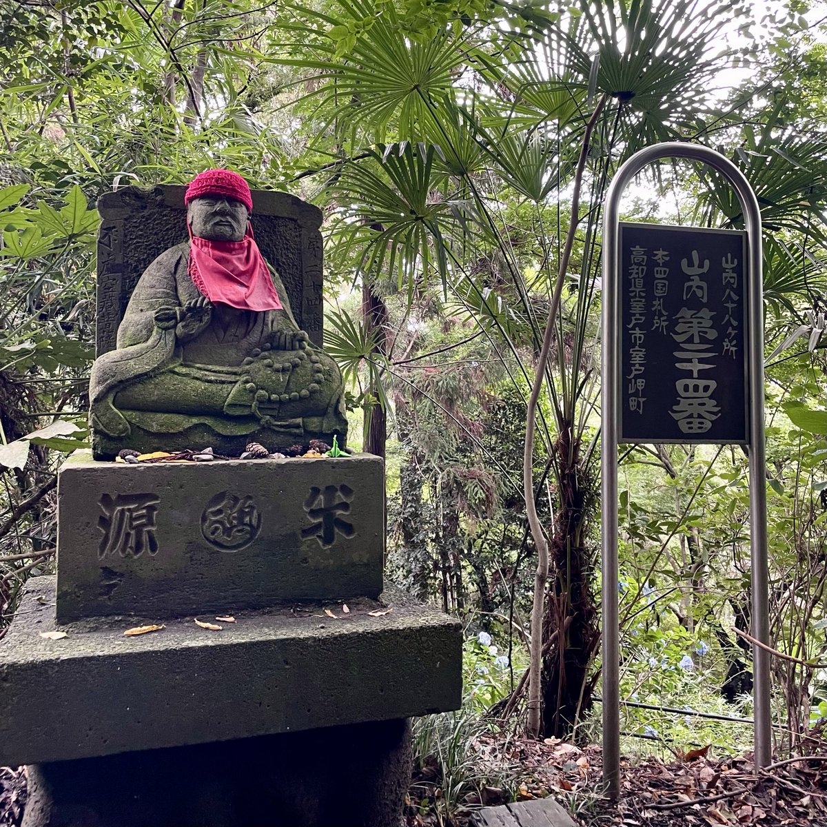 55massard's tweet photo. 【花は武蔵野の】

願ひ錢 廉くともよひら 咲ひけり

山口誓子の眠る寺、高幡不動で。
「あじさいまつり」の最中だが、盛りは過ぎているようだった。
ありがたいことに四国のお遍路がここでもできる。大師堂は撮れない代わりに、御厨人窟にいちばん近い「二十四番札所」を撮ってきた。 https://t.co/XxAWOkESOi