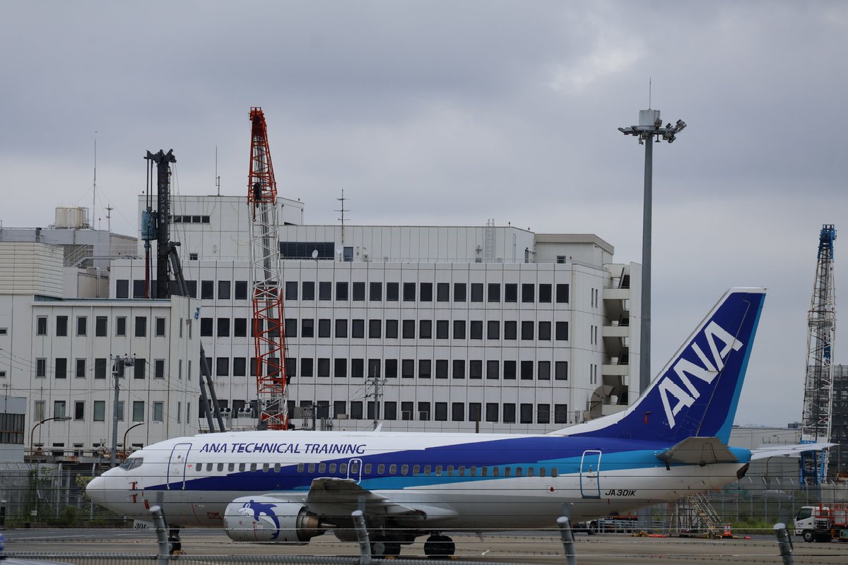 JOYellow222's tweet photo. 2026.6.21(日)Super Dolphin
@天空橋 JA301K ANA Technical Training🐬今朝オランダT-061さんは広島に ぼく一人になっちゃった😭グラハンさん早く迎えに来てね!
#superdolphin https://t.co/bieZ6B9bhH