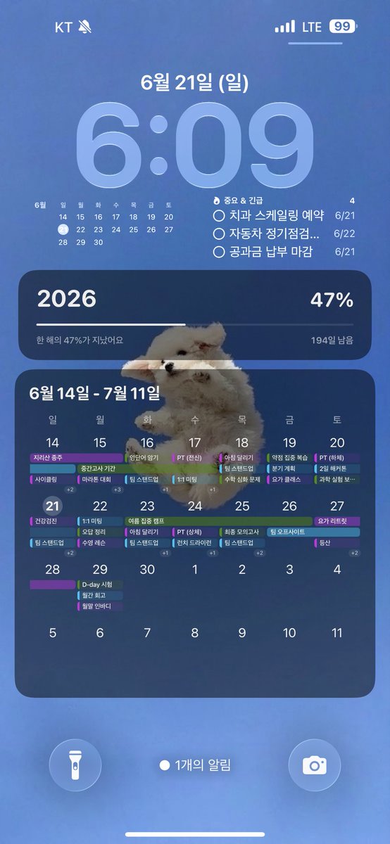 kbs00100's tweet photo. 아이폰 사용하면 이걸로 일정 관리 해보세요
앱 안열어도 1초만에 확인가능해요 https://t.co/8o3HiDGS8P