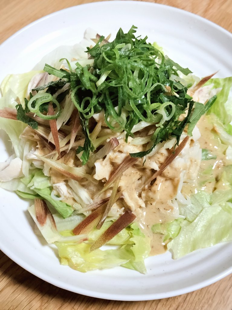 mgmgelli's tweet photo. 薬味たっぷりのささみの胡麻ダレそうめん！！
おいしーーー！！元気になるぅううう😭🙌🙌 https://t.co/LFiSkLMoS2