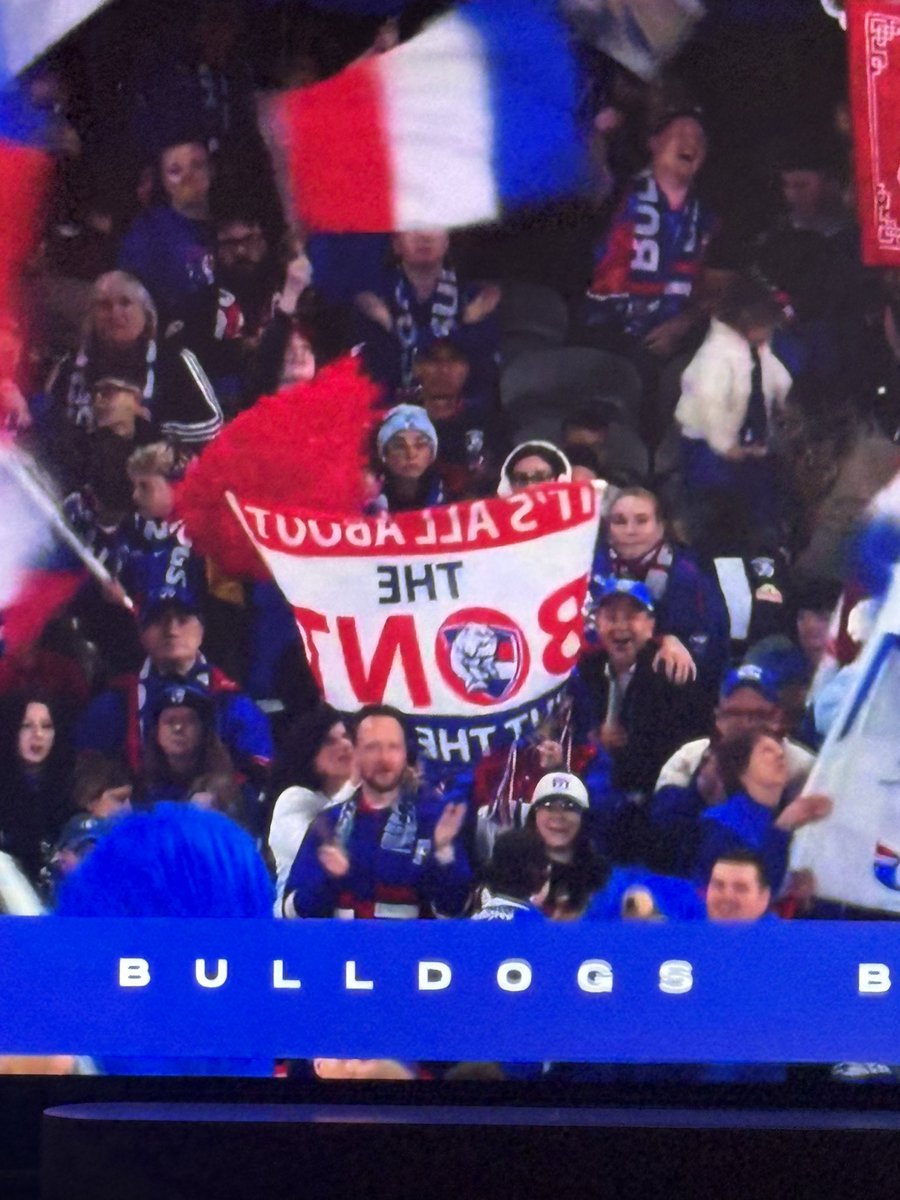 Stormdogs612's tweet photo. Spot the internet’s favourite @westernbulldogs nuffies 🕵️‍♂️

@westerndogbulls @tk_bulba #westernbulldogs #godogs #mightywest #AFLSaintsDogs https://t.co/jF1KPcXTU4