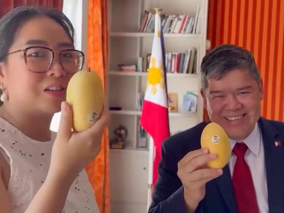 gmanews's tweet photo. FROM GUIMARAS ISLAND TO EUROPE! ✈️🥭

Nakarating na sa Europe ang first batch ng Guimaras mangoes bilang bahagi ng pilot export initiative ng Pilipinas.

Ang produkto ay ipinakilala sa Belgium at sa iba pang European markets kabilang ang Germany, France, The Netherlands, at Spain.

Layunin ng inisyatiba na palawakin ang presensiya ng Philippine mango exports sa European market.

Ang mga mangga mula sa Guimaras ang kauna-unahang Philippine product na may Geographical Indication (GI) registration.

COURTESY: PH Embassy in Spain, Germany, France, The Netherlands, Belgium/Facebook

READ: https://t.co/xfDzIgADb9