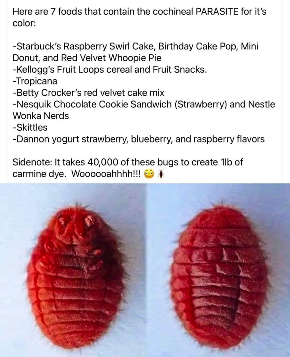 BabyD1111229's tweet photo. Here are 7 foods that contain the cochineal PARASITE for it's color:

-Starbuck's Raspberry Swirl Cake, Birthday Cake Pop, Mini Donut, and Red Velvet Whoopie Pie

-Kellogg's Fruit Loops cereal and Fruit Snacks.

-Tropicana

-Betty Crocker's red velvet cake mix

-Nesquik Chocolate Cookie Sandwich (Strawberry) and Nestle

Wonka Nerds

-Skittles

-Dannon yogurt strawberry, blueberry, and raspberry flavors

Side-note: It takes 40,000 of these bugs to create 1lb of carmine dye!