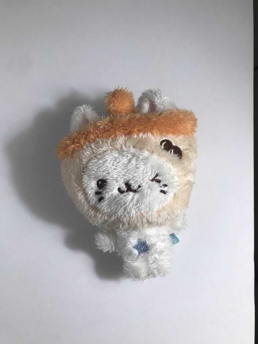 pinkyponies's tweet photo. WTS / want to sell

DOLL STEADY NCT WISH 10cm
bubblenyang / bunyang (yushi)

damage dari pabrik (-tas) 
💵 offer by DM 
📍tangerang
pls mention after dm 💗

t; wts wtb bubblenyang bunyang yushi nct wish https://t.co/YAKsmWuS07