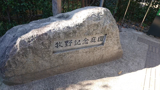「雑草という草はない」は、昭和天皇の名言として広まってしまったとこもあるが、本来は牧野博士が陛下に講義した際の言葉だったらしいね。 大泉学園近くに住んでいたが、牧野記念庭園の存在は知らず、朝ドラきっかけで聖地巡礼したなぁw