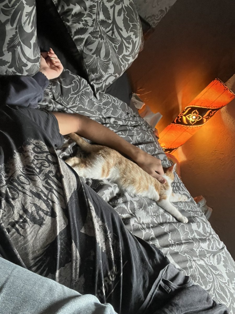 Soocratees_'s tweet photo. mimi dormait tout le temps avec nous. il était adorable et c’est dingue comme il était câlin. il nous lâchait jamais https://t.co/7NmH2lnKRo