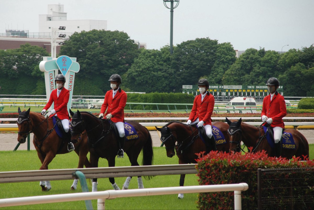 megjet's tweet photo. ラクリマさんお疲れさま🐴
ぺるぺるが誘導馬の修行中もよく一緒に歩いてましたね
ホウオウと栗毛が並んで誘導する姿がとてもステキで…✨✨誘導馬は白い馬、のイメージが変わりました///
ありがとう！

#マイネルラクリマ https://t.co/nCW0oBq6vw