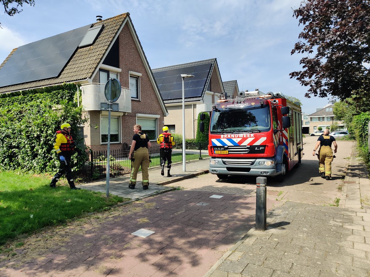 Kat gered uit water