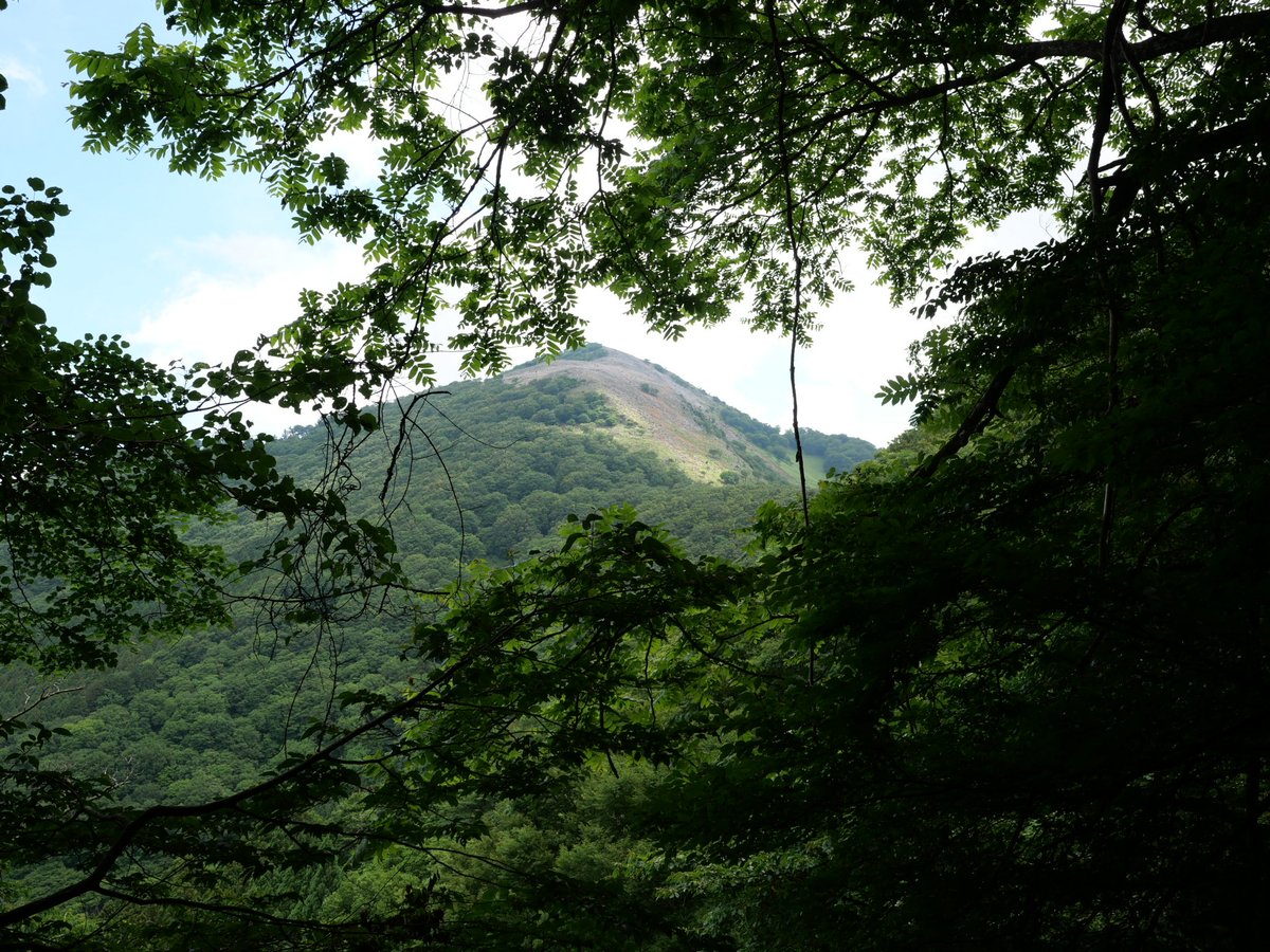 884ken13's tweet photo. こないだ10年ぶりに霊仙山行ってきた。
めちゃんこ楽しかった〜 https://t.co/dITGkk2QVb