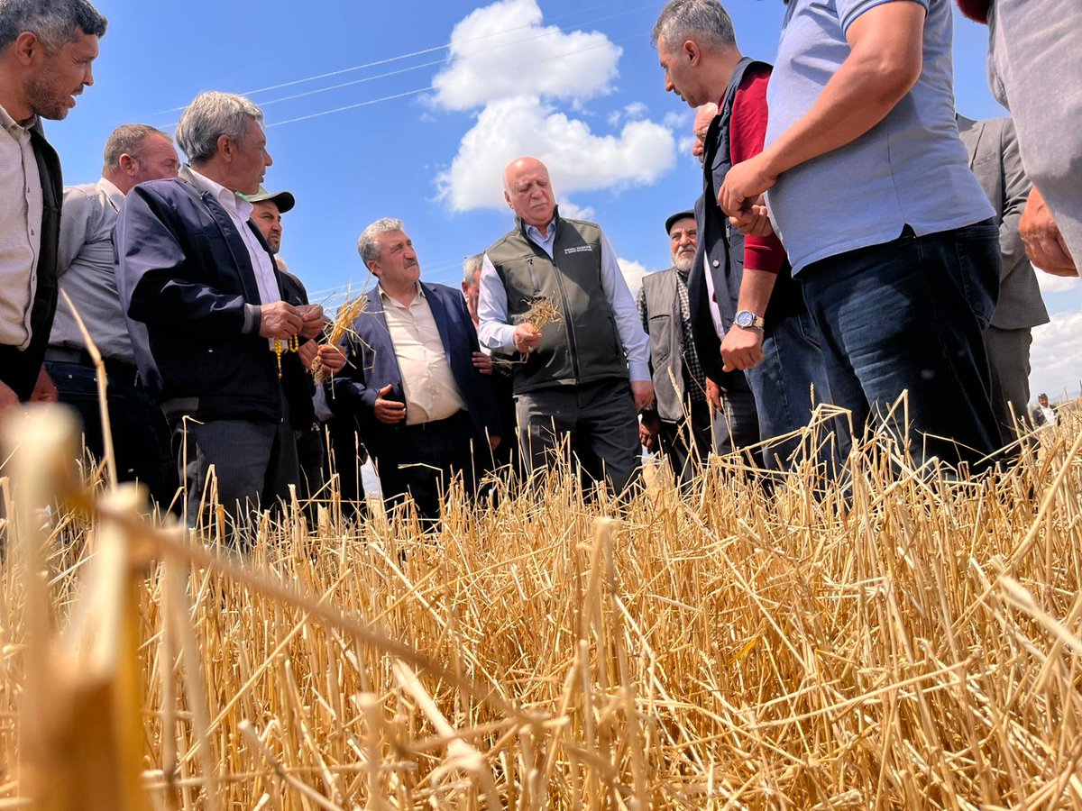 semsibayraktar's tweet photo. Afyonkarahisar’ın Çıkrık beldesinde ve Beyyazı beldesinde dolu yağışından zarar gören salatalık, buğday ve arpa tarlalarında incelemelerde bulunduk.
Üreticilerimizle bir araya gelerek yaşanan zararları yerinde değerlendirdik. Ardından basın mensuplarına yaptığımız açıklamada doğal afetlerin tarımsal üretime etkilerine dikkat çekerek üreticilerimizin taleplerini dile getirdik.
Sahada, çiftçilerimizin yanında olmaya devam edeceğiz.