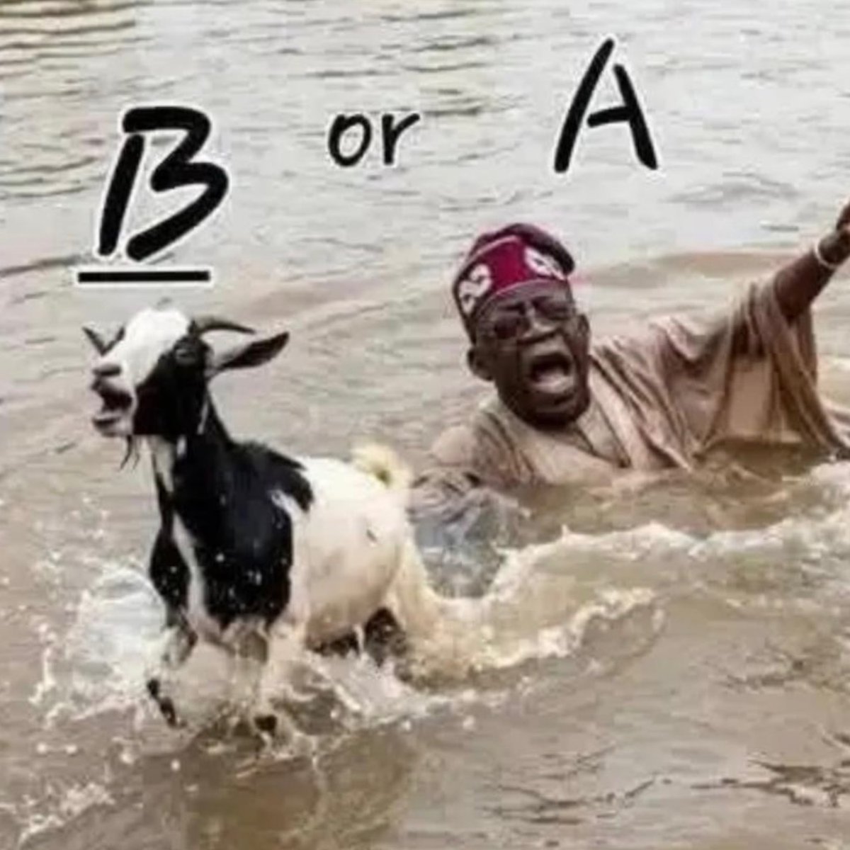 laughpills's tweet photo. You are to save only one

Who are you saving?

👇🏿 https://t.co/Jjkj6uSxau