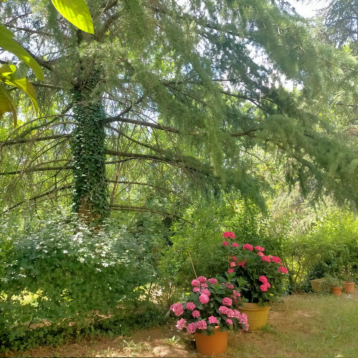 LaTataBlu's tweet photo. Ho visto panorami incantevoli che non ho fotografato perché guidavo, vi fidate lo stesso? 😁
#Perugia #MonteGrillo
💚 https://t.co/dZ0Hd1NS1b
