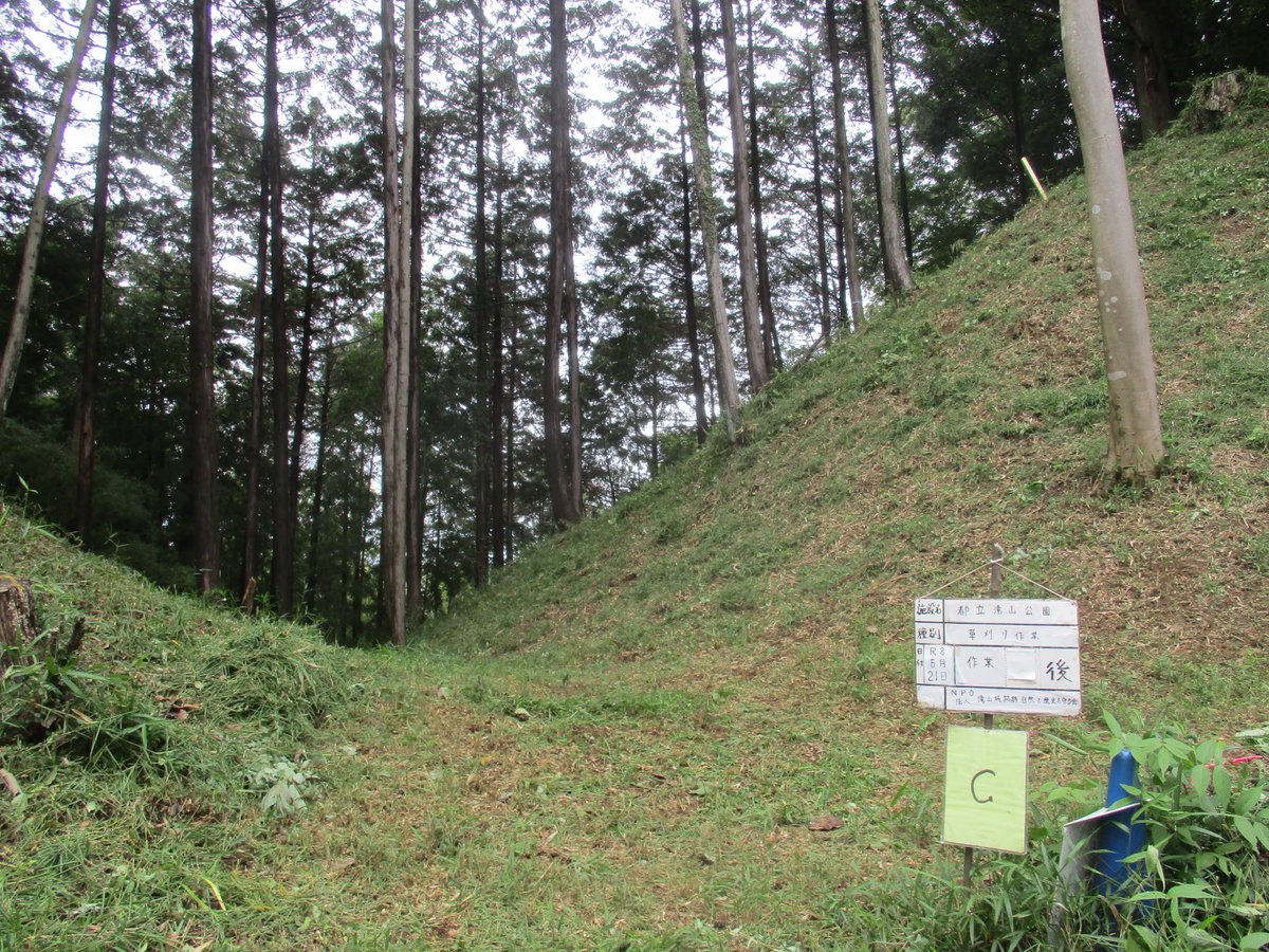 run_run_ranma's tweet photo. 滝山城下草刈り作業報告
作業前後の写真Ｃ・Ｄ https://t.co/o5wfHGDkuK