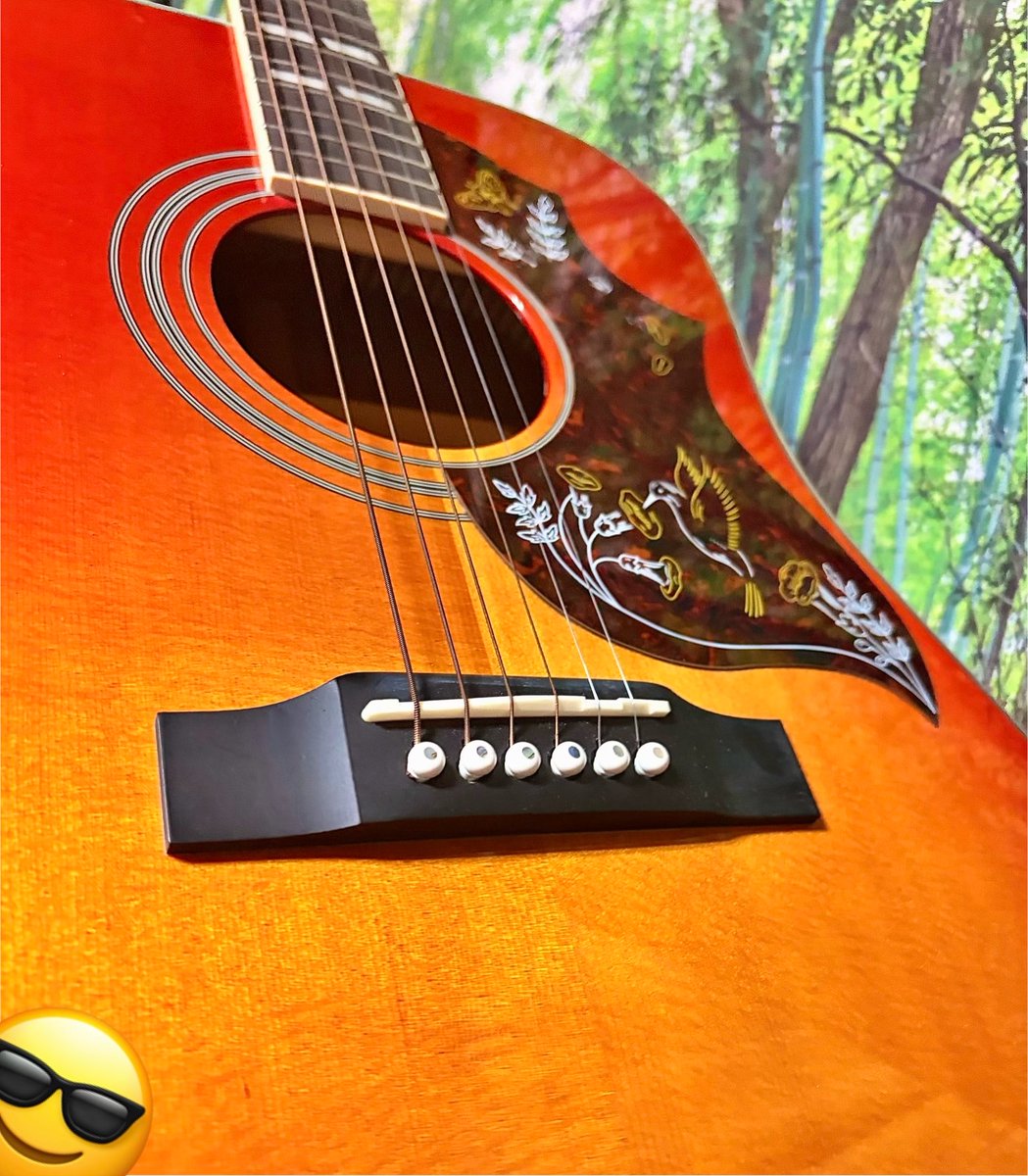 bija_d's tweet photo. ボタン電池を使うEpiphone、
角型電池を使うHISTORY https://t.co/pkzh9lEmYn