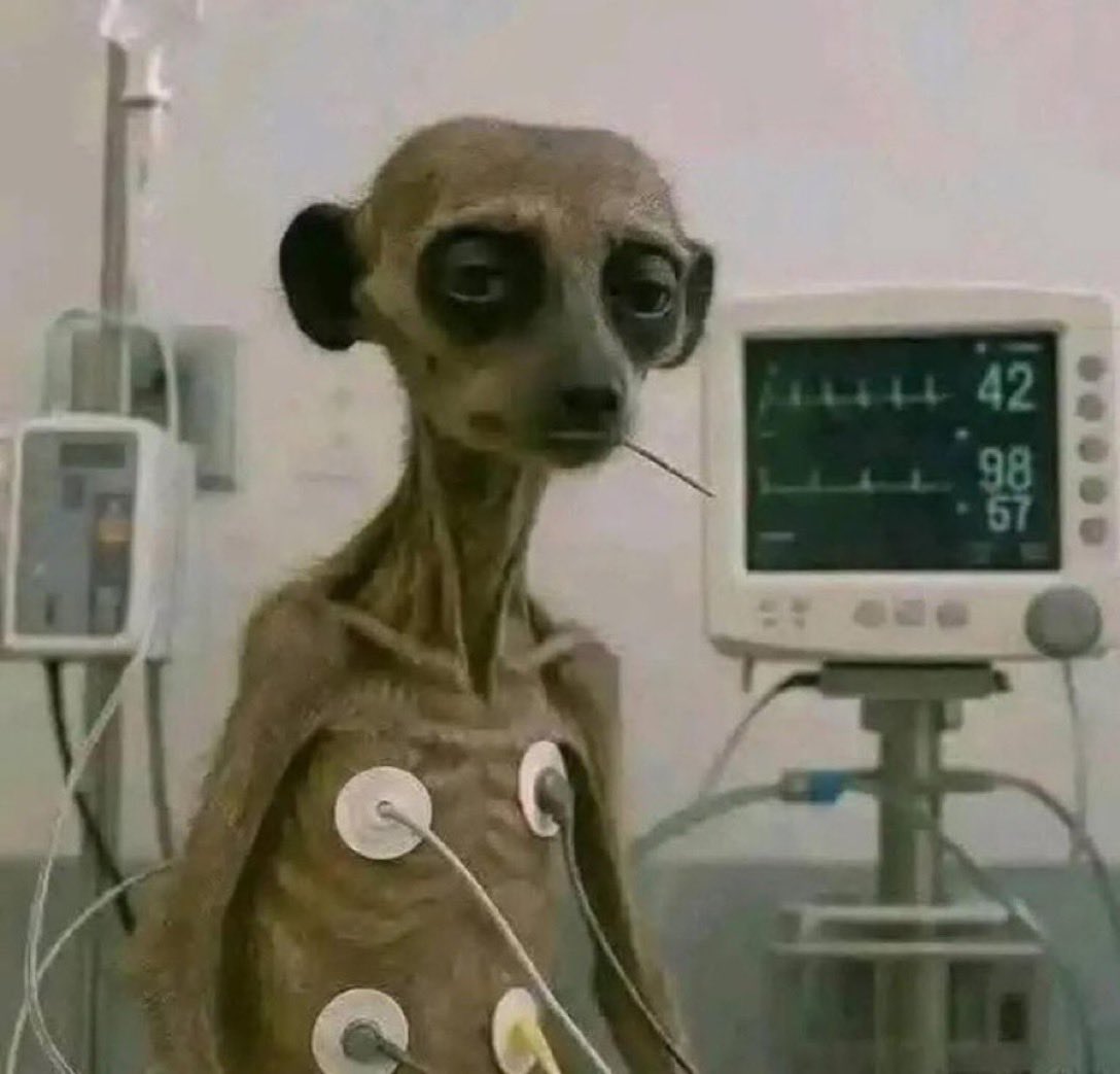 swtsteve's tweet photo. 2 months later after you took off the condom because she looked young and healthy https://t.co/f1eQQj6wws
