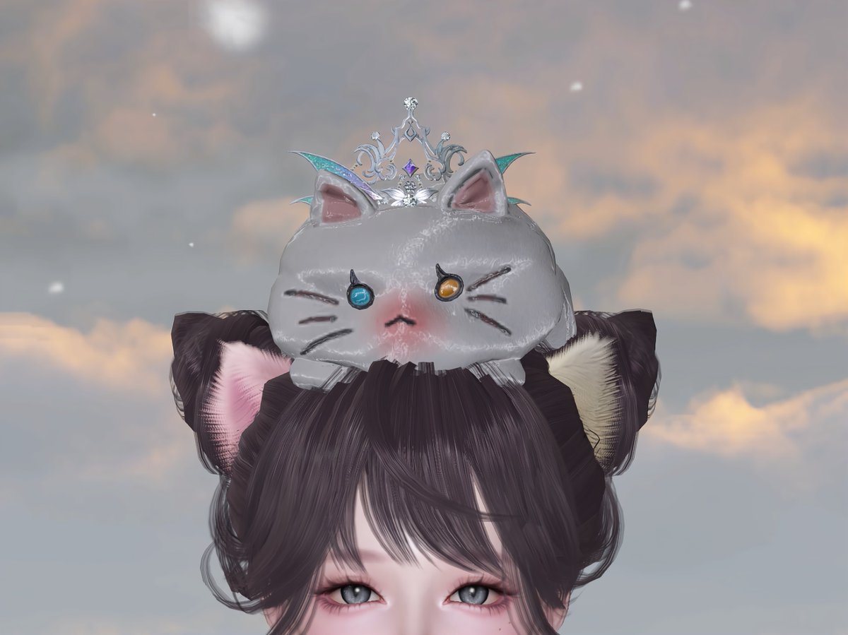 ___R__gm's tweet photo. かわいくてお気に入り𐄑𐅁̂ ⩊፟ ̂𐅀𐄑 https://t.co/Vo1tvNGEM8