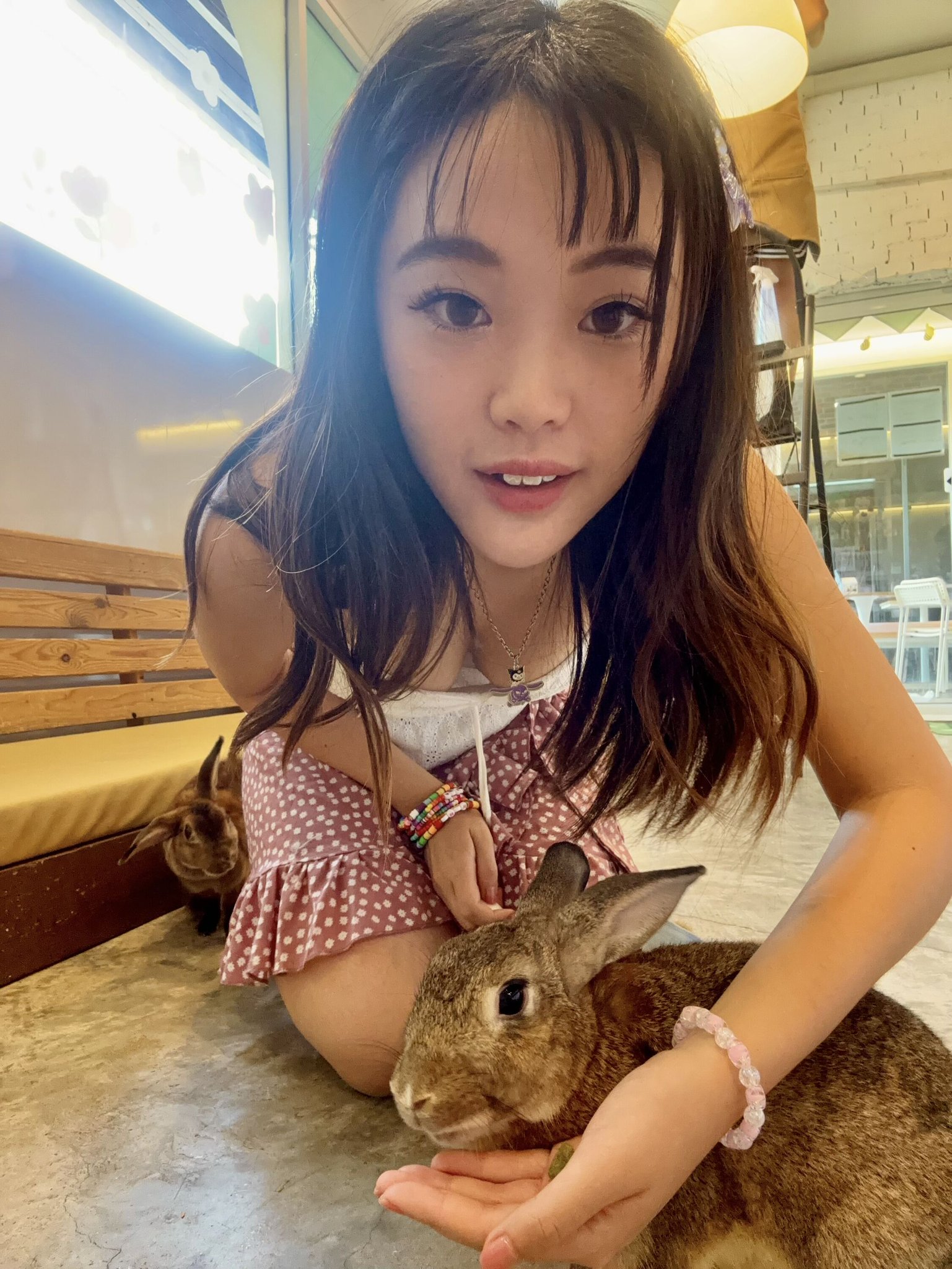 3 pic. 曼谷必去 超多天竺鼠兔仔圍住🐰🐹 Rabbito Cafe 職員比例超高 兔仔打交 2個職員分開 抱著他們近1分鐘 才放手 可能在有愛環境成長 跟他們玩我很開心 星期四 我會係Onlyfans 出完整片 (當然不止他們) 😘🐹 其實我就是一個普通女仔 普通到跟你一起工作 在地鐵站見到的普通女仔一樣 https://t.co/9QZU4q7xvU