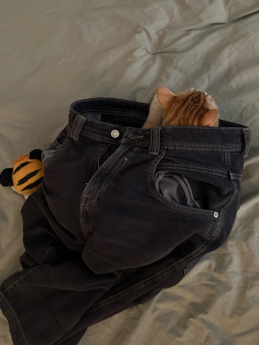 grain_de_raisin's tweet photo. certes gaston ton baggy tombe bien sur la paire mais je pense qu’il est bcp trop gelar https://t.co/6Imfj85Iw2