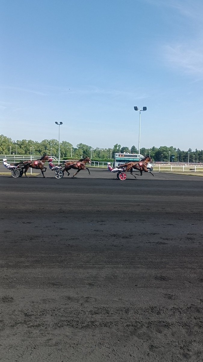 Rem94240's tweet photo. Une journée des champions ensoleillée et très matinale ce matin pour démarrer l'été. @LeTrot @Vincennes_Hippo https://t.co/YxGgFNALzN