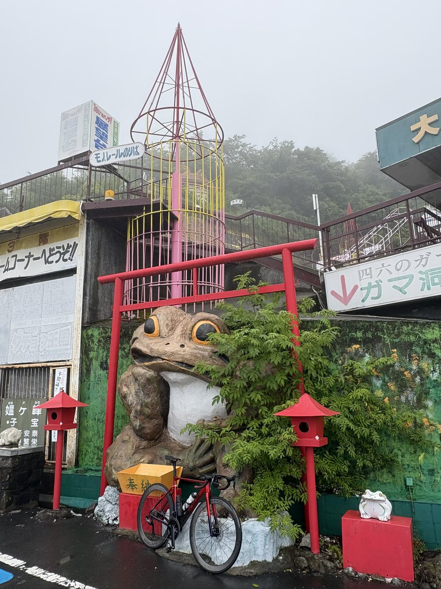 BikesAreFreedom's tweet photo. #富士ヒル と #ツールドふくしま が無事に終わったので #筑波山 のガマさんにお礼に行ってきました🤗♪♪♪
☁️雲に覆われて🚡ロープウェイ🅿️駐車場は何にも見えませんでした😅
Discブレーキはこんな時でも安心ですね❤️ https://t.co/VDVzVgwknH