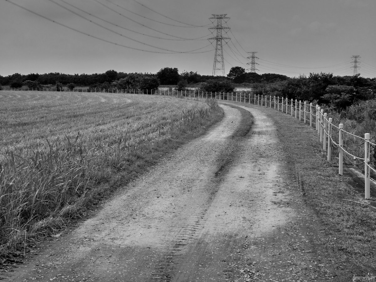 pw_synth's tweet photo. 河川敷グラベル 
#snap #SILKYPIX #gravel #monochrome 
#OLYMPUS #OM #OLYMPUSPEN E-P7 https://t.co/dTq5L2utUw
